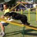 MISS AGILITY