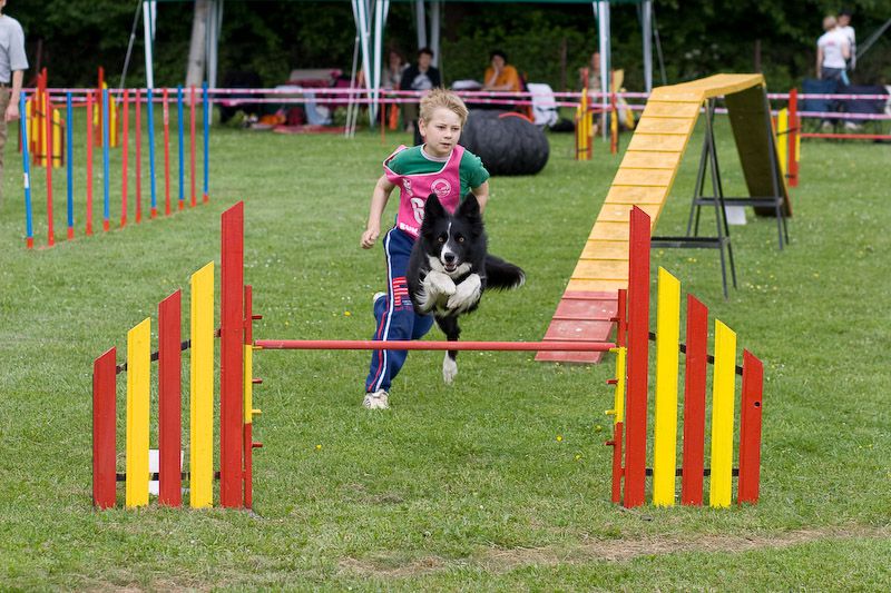 MISS AGILITY - foto povečava