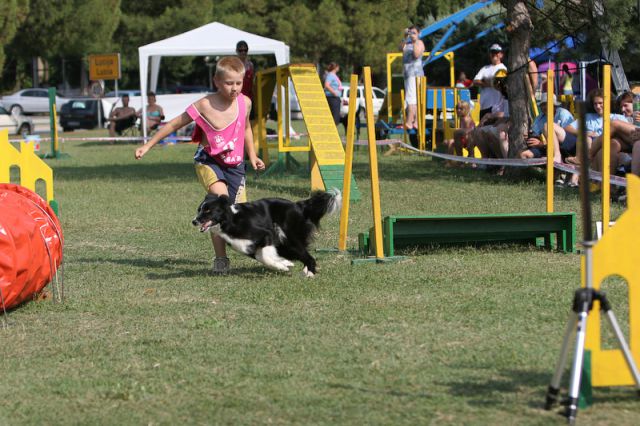 MISS AGILITY - foto