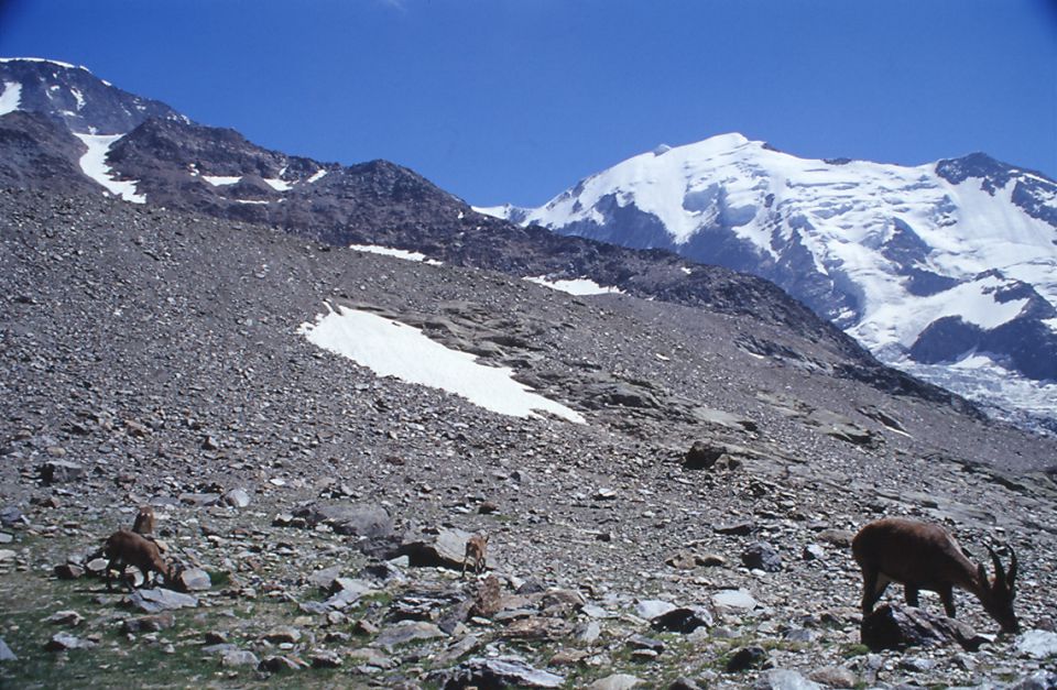 Mt. blanc 2004 - foto povečava