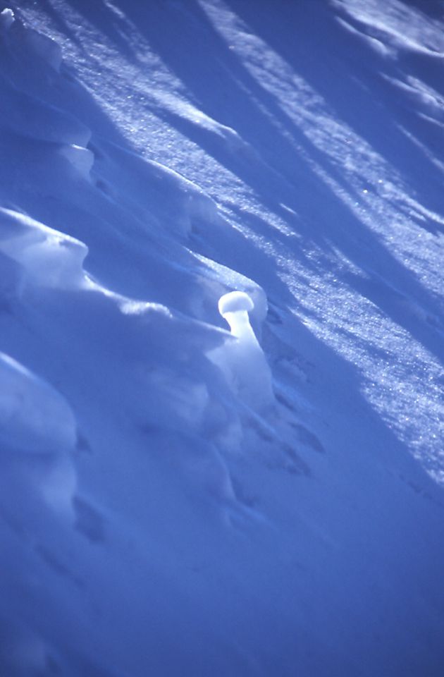 Mt. blanc 2004 - foto povečava
