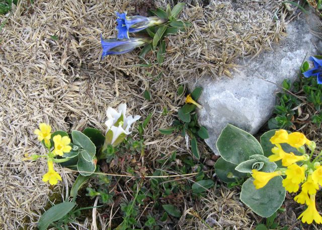 Struška planina  08 - foto