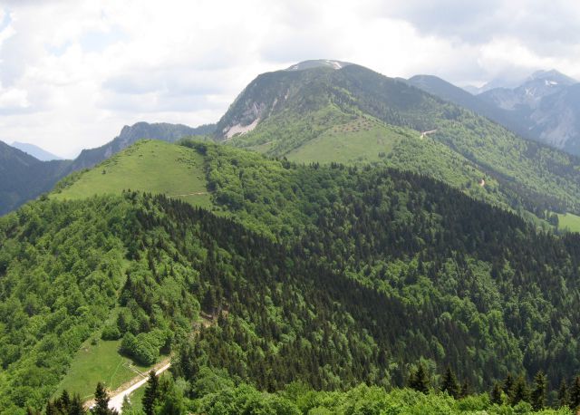 Struška planina  08 - foto