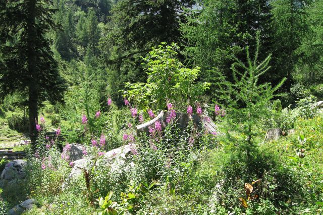 Vrtača po JV grebenu 08 - foto