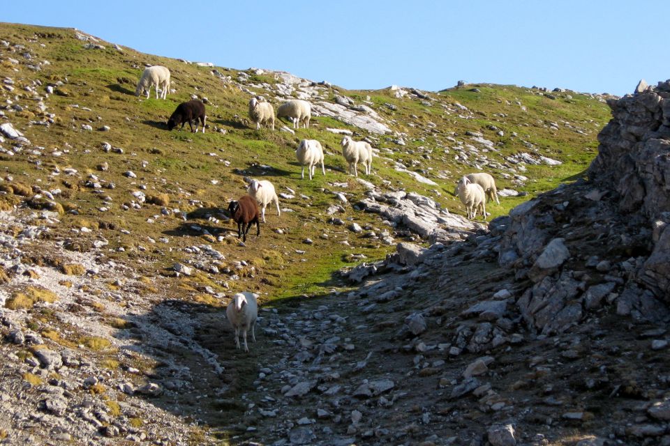 Nad šitom glava 08 - foto povečava