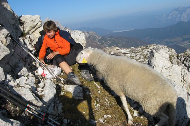 Nad šitom glava 08 - foto