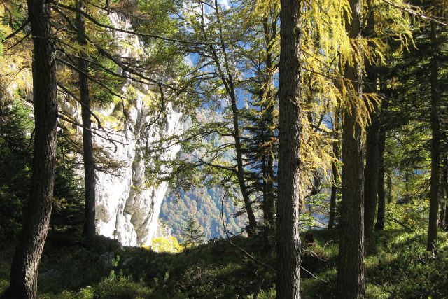 žagana peč - kalška gora 08 - foto