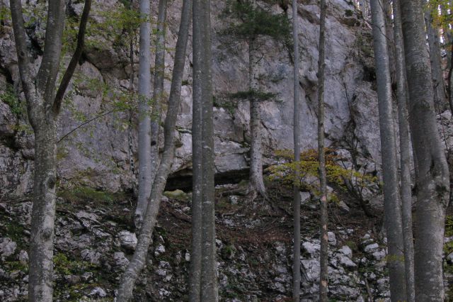 žagana peč - kalška gora 08 - foto