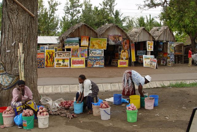 2.afrika - safari, zanzibar 2009 - foto