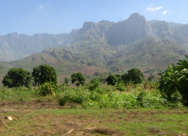 2.afrika - safari, zanzibar 2009 - foto