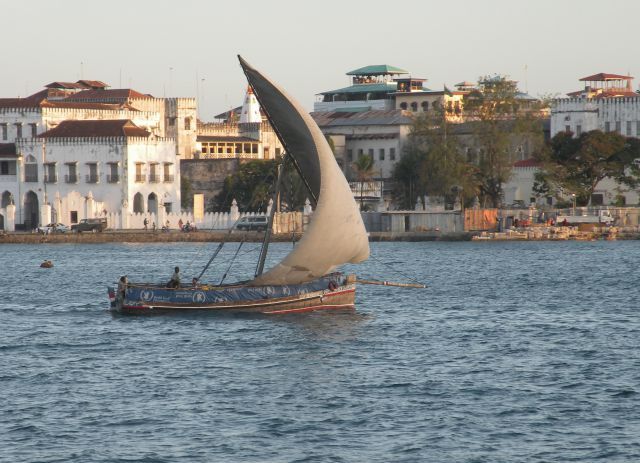 2.afrika - safari, zanzibar 2009 - foto