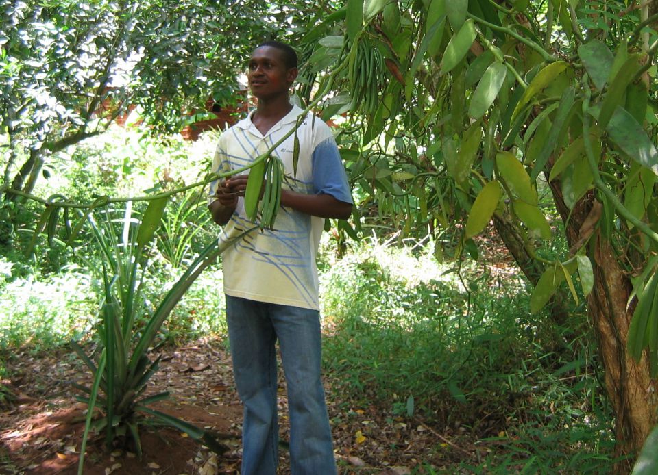 2.afrika - safari, zanzibar 2009 - foto povečava