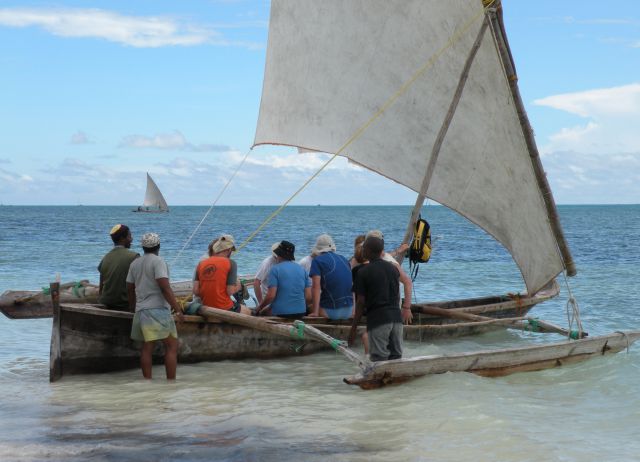 2.afrika - safari, zanzibar 2009 - foto