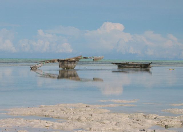 2.afrika - safari, zanzibar 2009 - foto