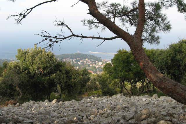 Lošinj + susak 2008 - foto