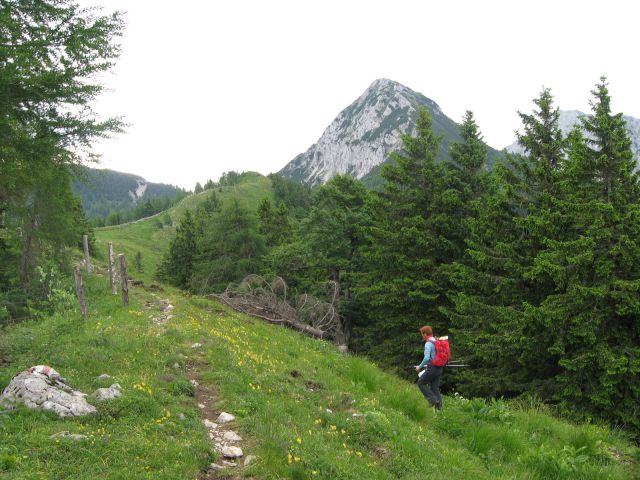 Košutica ali Ljubeljska Baba - foto