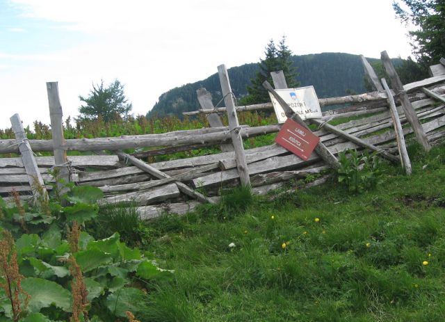 Košutica ali Ljubeljska Baba - foto