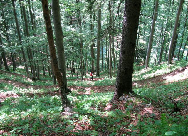 Košutica ali Ljubeljska Baba - foto