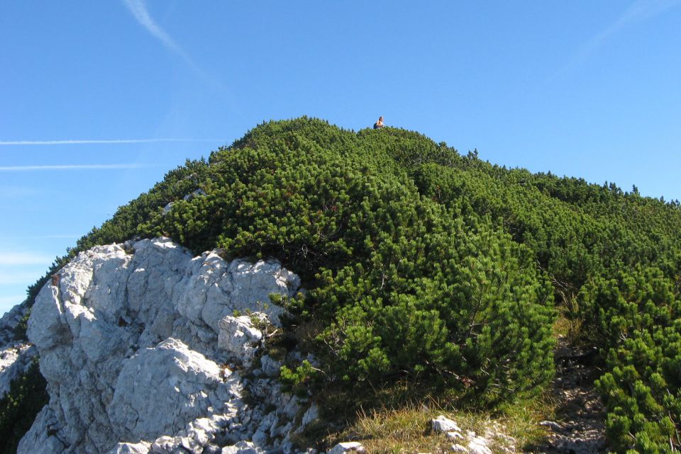 S Krvavca čez Ježa na pl. Koren,  2010 - foto povečava