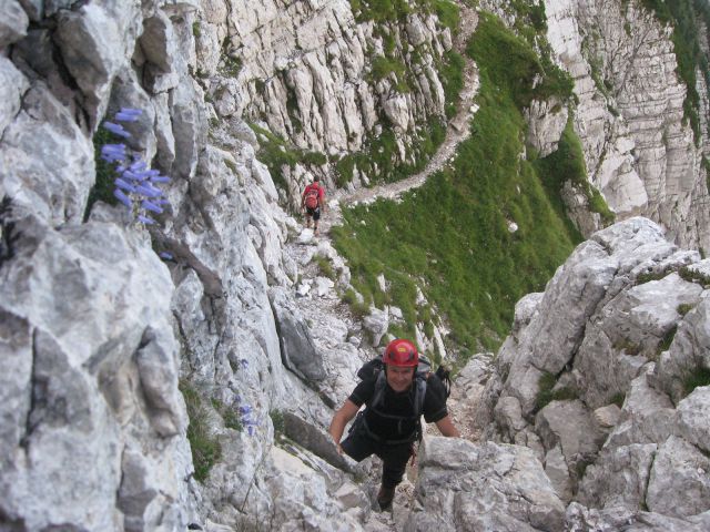 Plemenice, Kugy.p., Tominš. 14.8.11 - foto