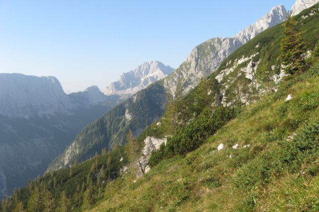 Rutarska trenta z bavškim grintavcem