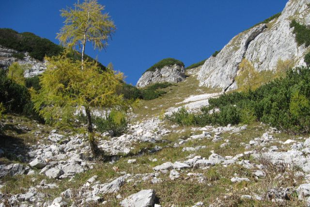 Mišeljska dolina + Na Nizkem 15.10.11 - foto