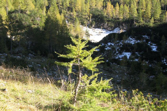 Mišeljska dolina + Na Nizkem 15.10.11 - foto