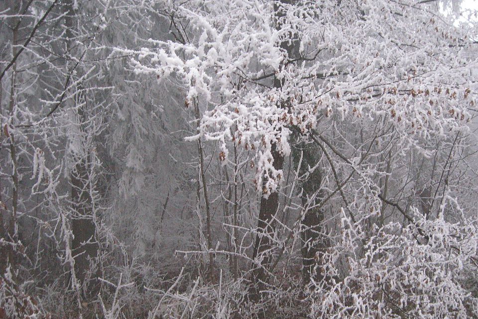 Kališče + Storžič  26.11.11. - foto povečava