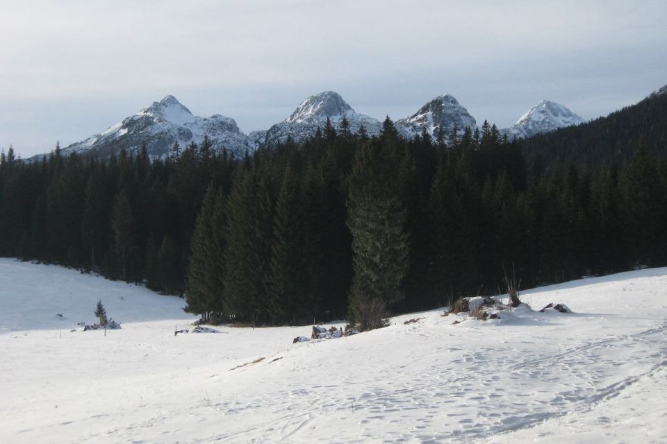 Debela peč,  01.01. 2012 - foto povečava