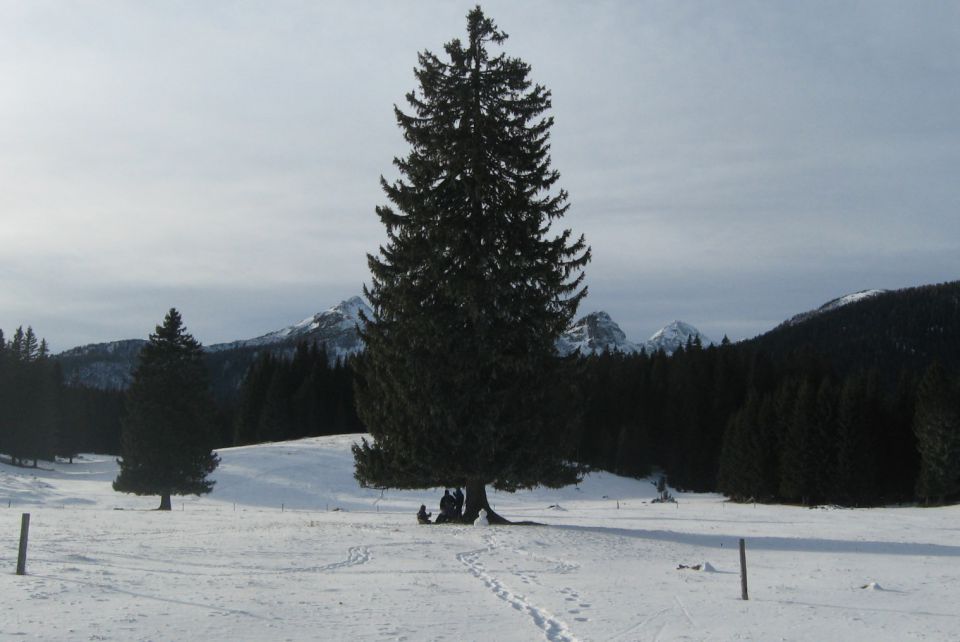 Debela peč,  01.01. 2012 - foto povečava