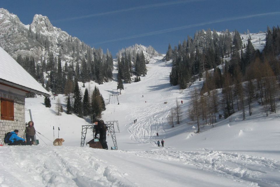 Zelenica,  08.02.2012 - foto povečava