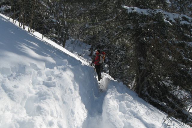 Zelenica,  08.02.2012 - foto