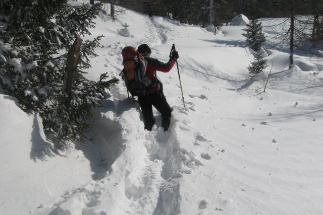 Zelenica,  08.02.2012 - foto