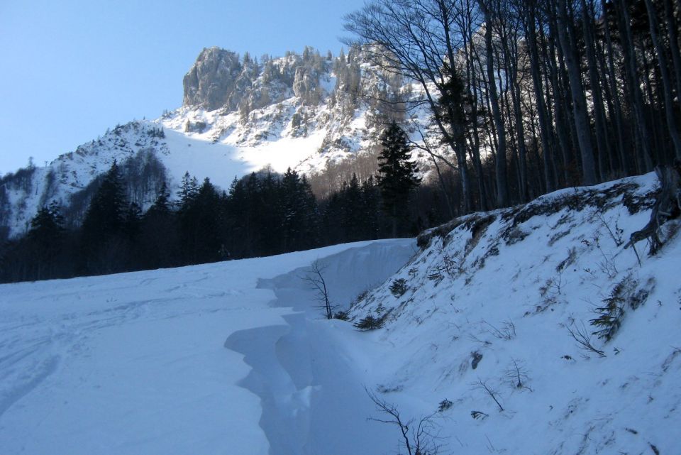 Zelenica,  08.02.2012 - foto povečava