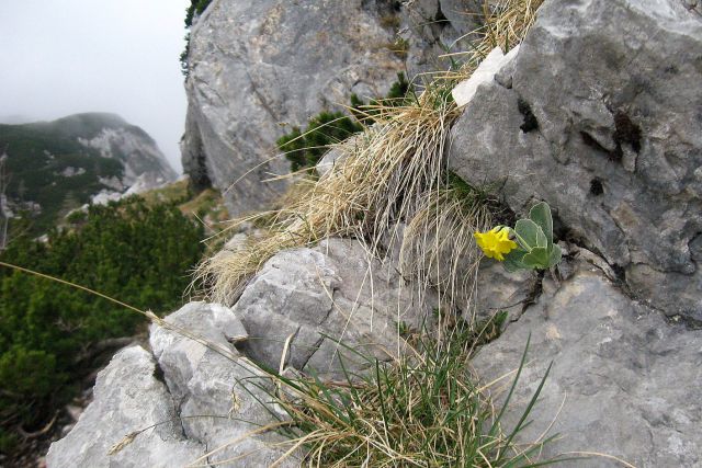 Žagana peč do Ovčarije   05.05.2012 - foto