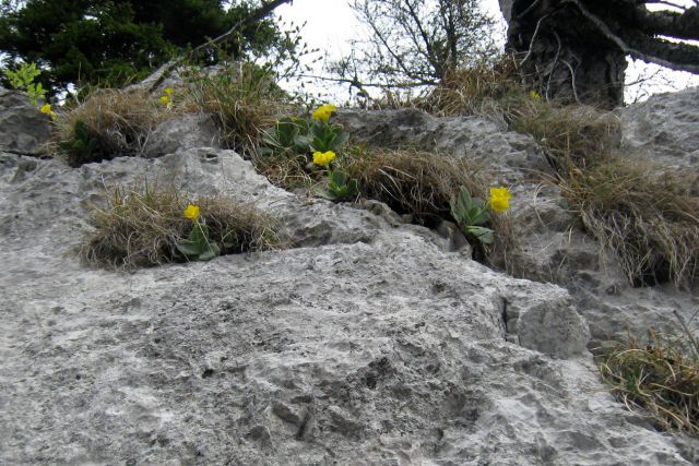 Žagana peč do Ovčarije   05.05.2012 - foto