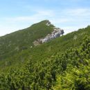 rzenik