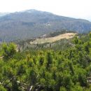 planina rzenik