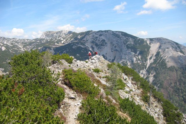 Vel.vrh in vel.zelenica, deska in lastovec