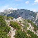 vel.vrh in vel.zelenica, deska in lastovec