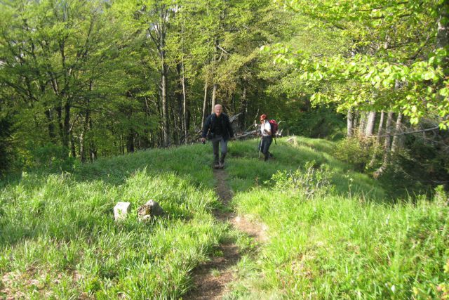 Ljubeljščica  26.05.12 - foto