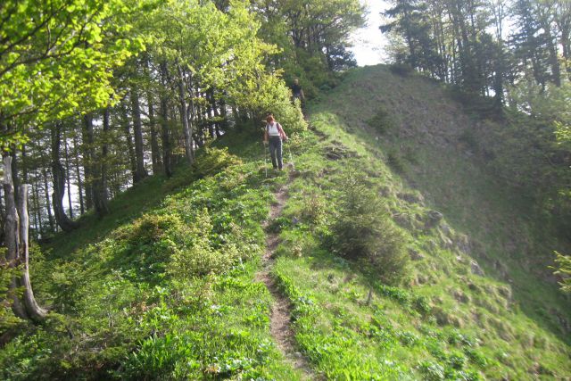 Ljubeljščica  26.05.12 - foto