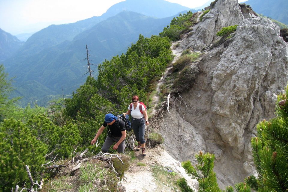 Ljubeljščica  26.05.12 - foto povečava