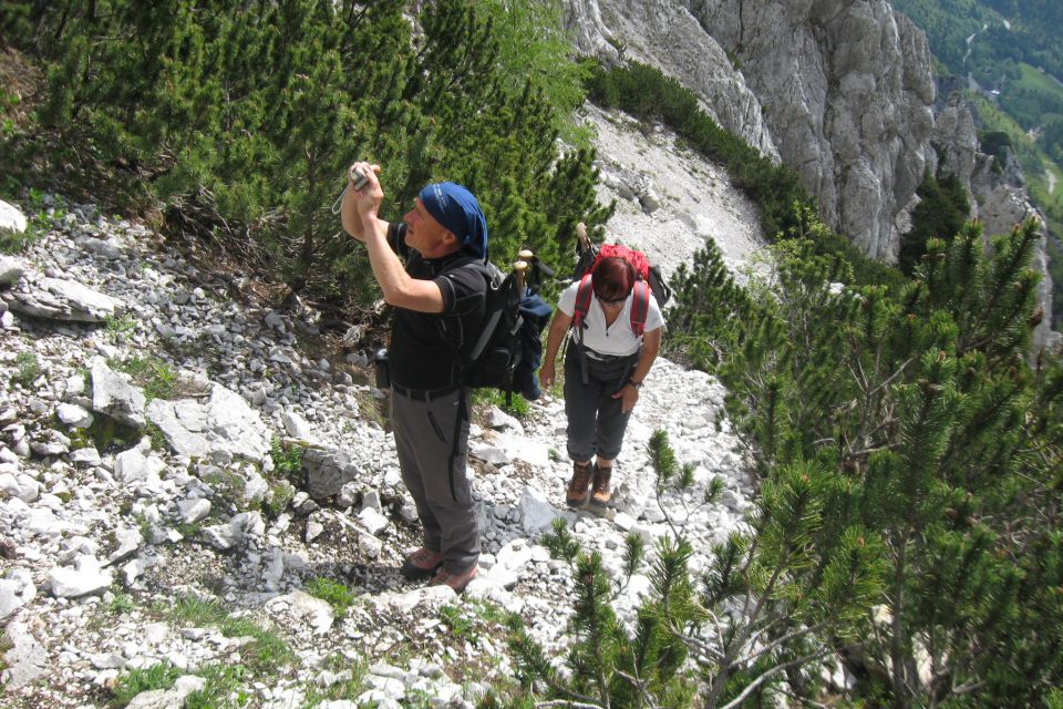 Ljubeljščica  26.05.12 - foto povečava