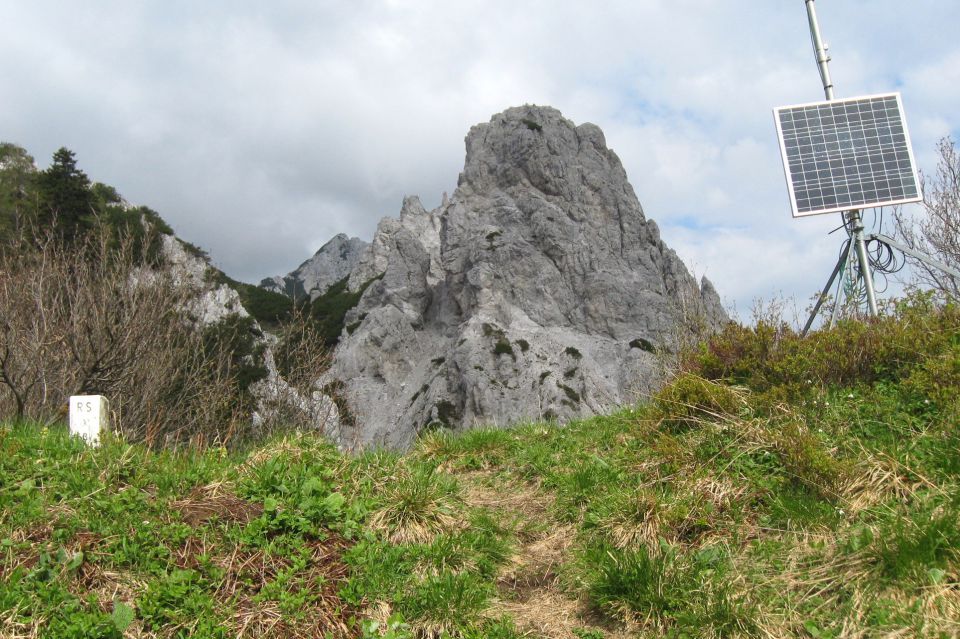 Ljubeljščica  26.05.12 - foto povečava