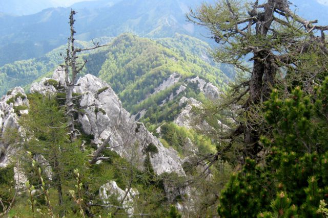 Ljubeljščica  26.05.12 - foto