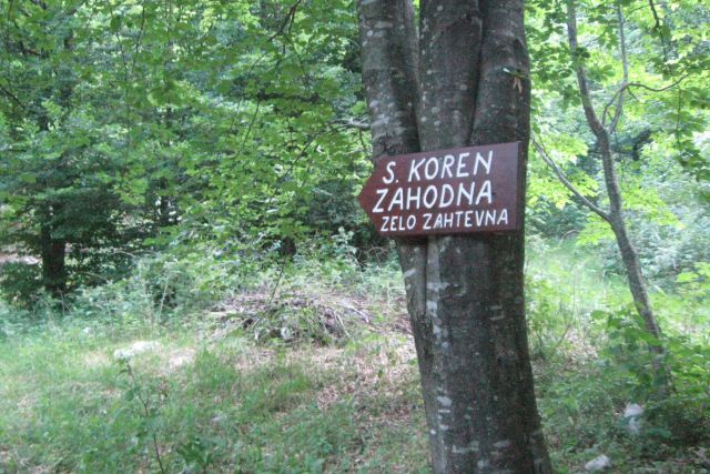 KRN - S. Korena + Batognica  24.06.2012 - foto
