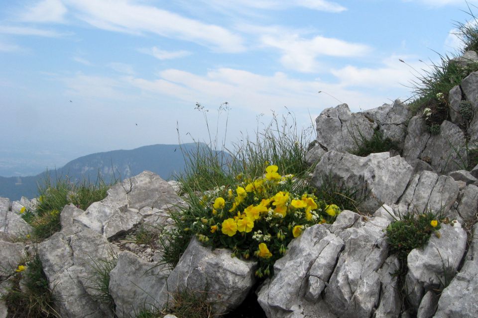 Košutica + veliki vrh  06.07.2012 - foto povečava