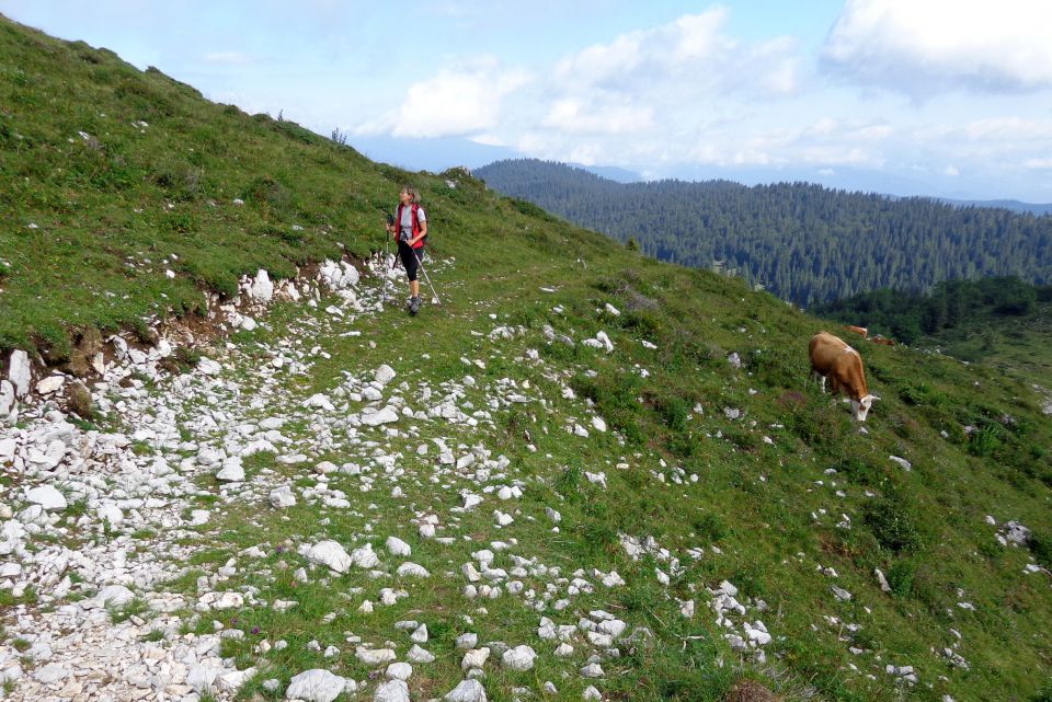 Petra - odhod na študij 16.07 2012 - foto povečava