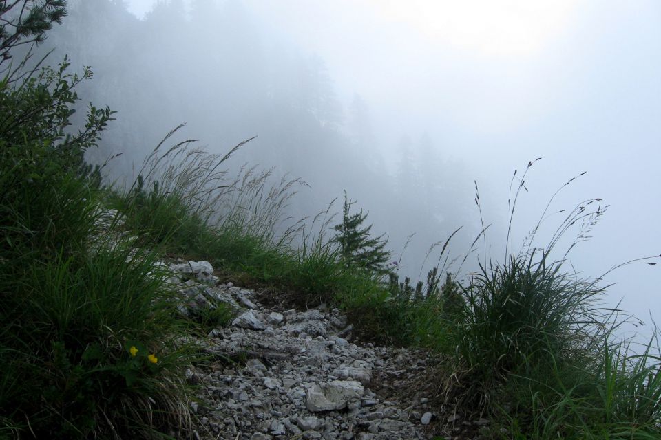 V. Rateška Ponca iz Belop. jez.  20.7.12 - foto povečava